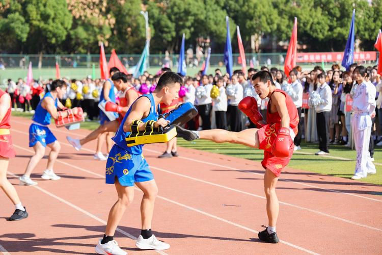 要结合理论
