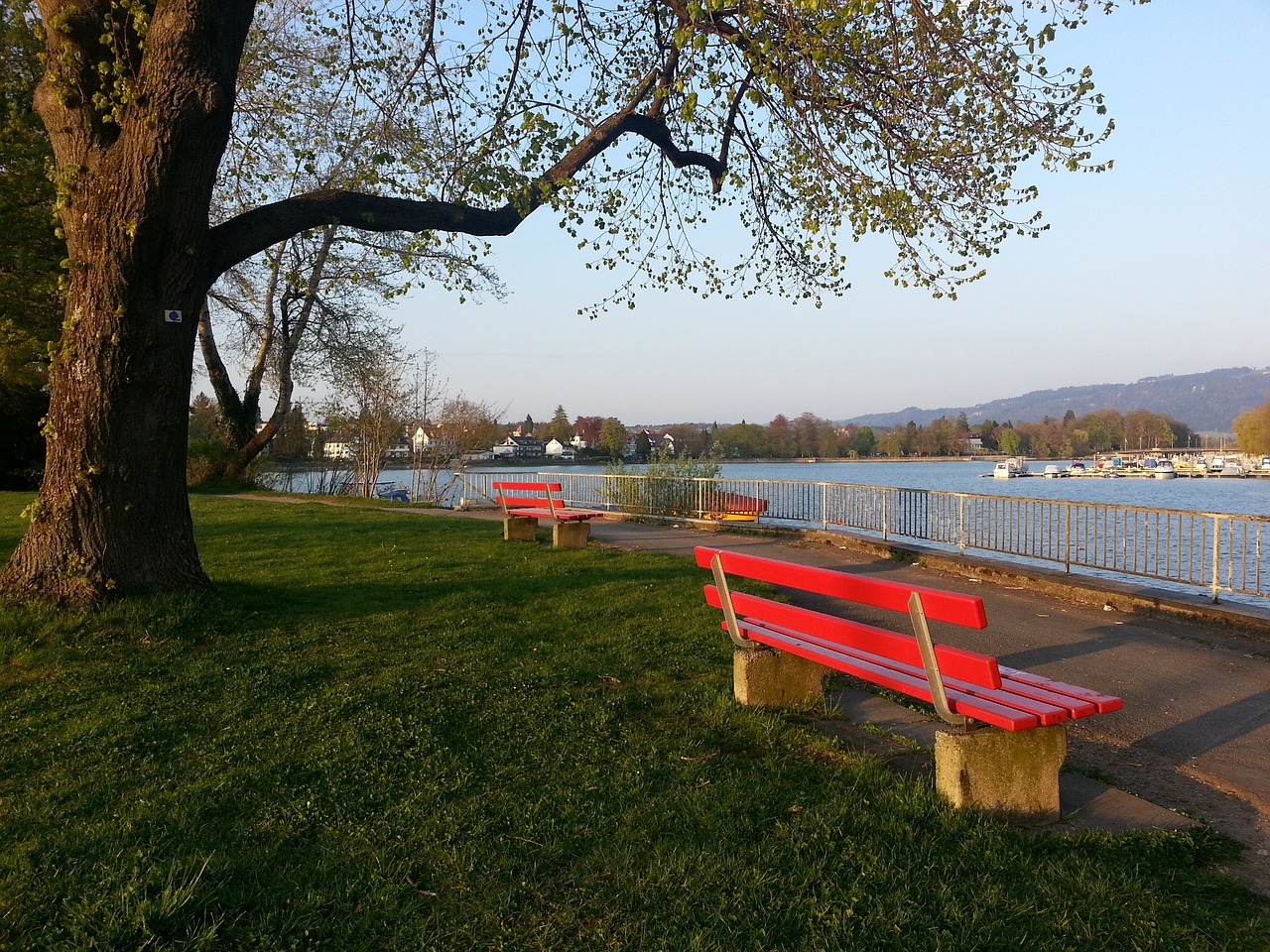 一场体育盛 一场体育盛