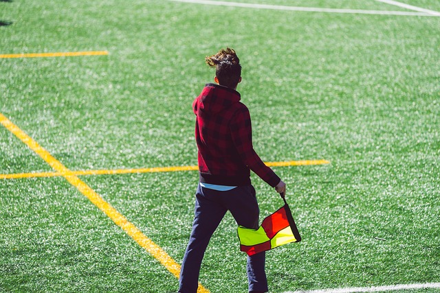 维奇在门前 维奇在门前