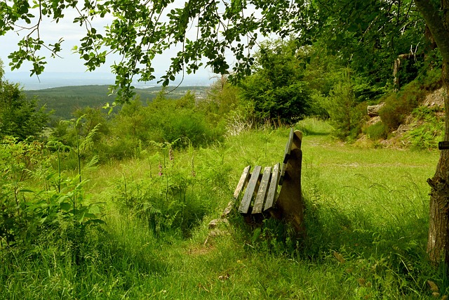的解決方案 的解決方案