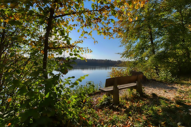 类似案例 类似案例