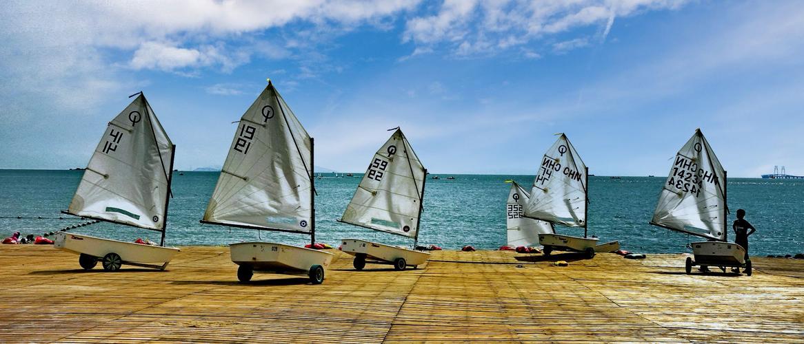 中心还组织 中心还组织